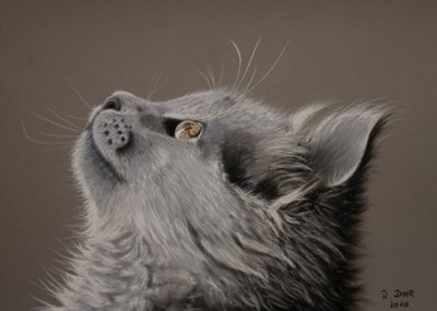 Cat Moment by Renate Dohr