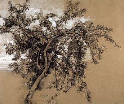 The Charcoal Apple Tree by Rene Ernest Huet
