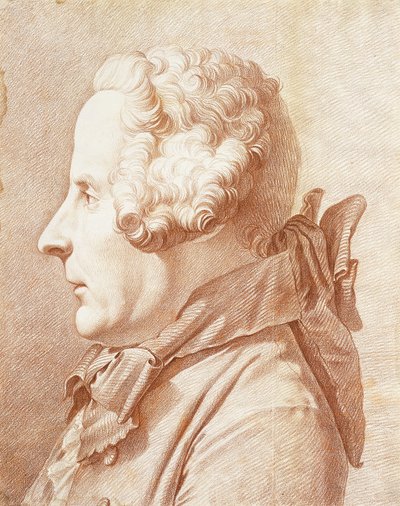 Portrait of Monsieur Hertault of Lienay, in Profile, turned to the Left by Rene Michel Slodtz