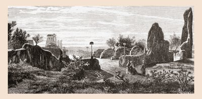Ruins of The Palace of the Caesars, Palatine Hill, Rome, Italy by Reverend Samuel Manning