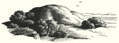 Hans Christian Andersen: The Elfin-Mount by Rex (after) Whistler