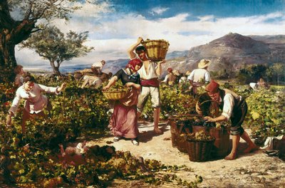 The harvest by Ricardo Marti