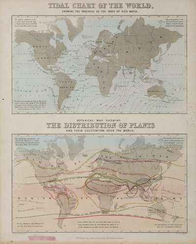 A Tidal Chart and a Map of the Distribution of Plants Across the World, c 1850 by John Pardon