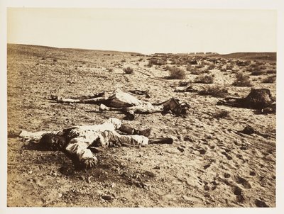 Dead Soldier at Tel-el-Kebir, Egypt by John Pardon