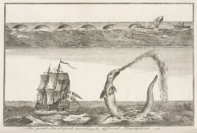 The Great Sea Serpent by John Pardon
