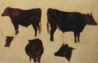 Studies of Long Horned Cattle by Richard Ansdell