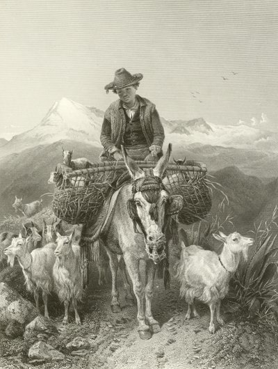 The Goatherd of Granada by Richard Ansdell