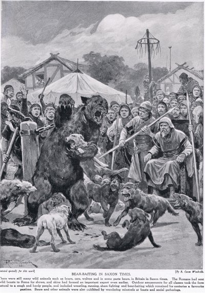 Bear baiting in Saxon times, from 