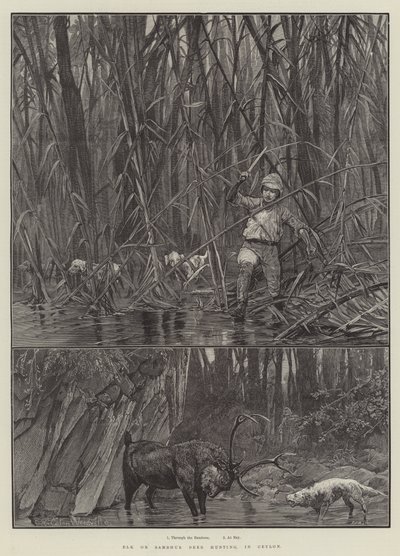 Elk or Sambhur Deer Hunting in Ceylon by Richard Caton Woodville junior