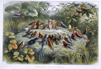 An elf and birds by Richard Doyle