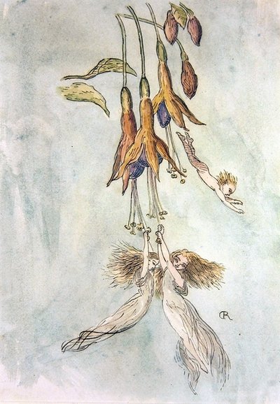 Feasting Amongst Fuscias by Richard Doyle
