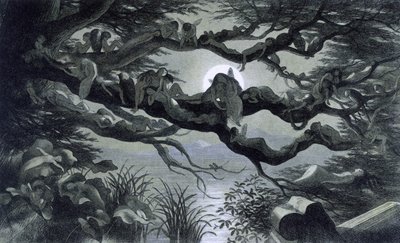 Fairies, nymphs and elves resting in the moonlight on a branch, Illustration of 