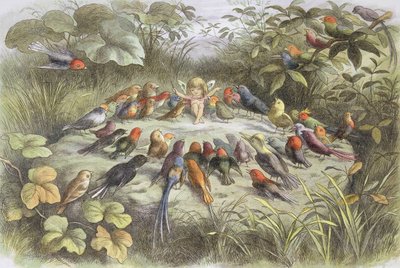 Music Rehearsal in Fairyland (Illustration from 