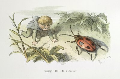 Saying Boo! to a Beetle by Richard Doyle