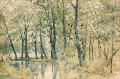 Studley Park, Yorkshire by Richard Doyle