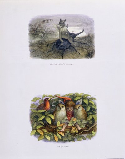 The Fairy Queen
