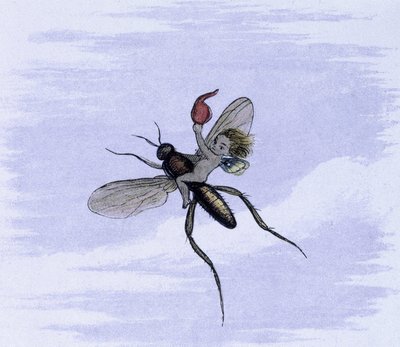 An elf on the back of an insect. Illustration by Richard Doyle from 