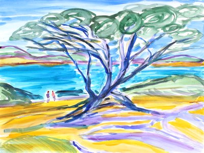 Cypress Tree, Carmel, 2019 by Richard Fox