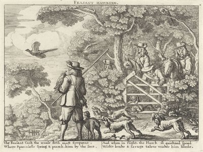 Pheasant Hawking (title on object) (series title) by Richard Gaywood (possibly)