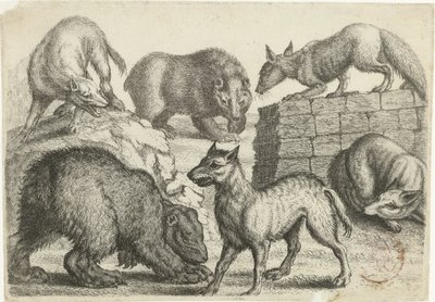 Two Bears, Two Wolves, and Two Foxes Animals after Various Artists (series title) by Richard Gaywood