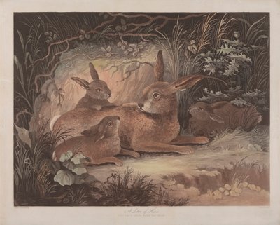Set of Four: (3) A Litter of Hares by Richard Gilson Reeve