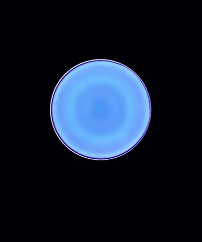 Circle X by Richard Green
