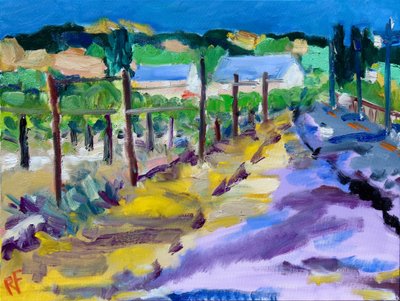 Vineyard Outside Santa Rosa by Richard H. Fox