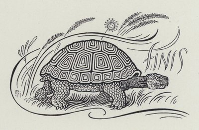 Hare And The Tortoise by Richard Heighway