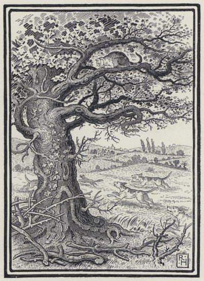 The Fox And The Cat by Richard Heighway