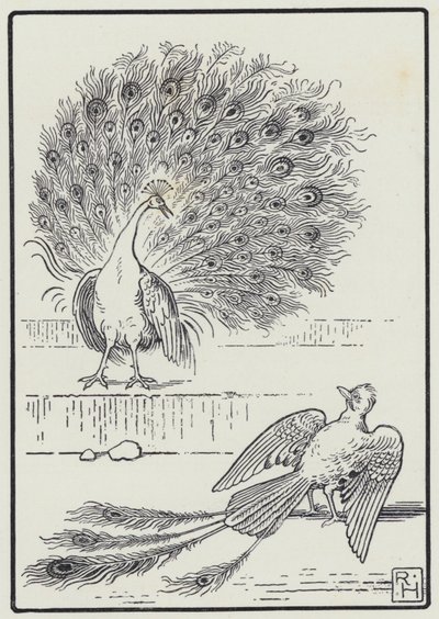 The Jay And The Peacock by Richard Heighway