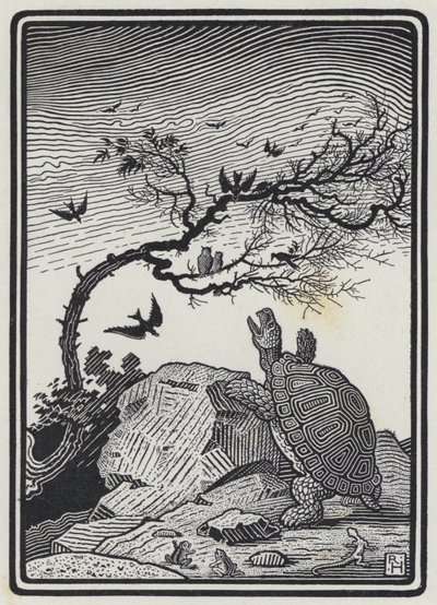 The Tortoise And The Birds by Richard Heighway