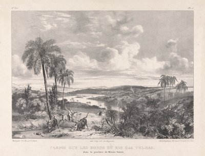 Campos sur les bords du Rio das Velhas by Richard Parkes Bonington