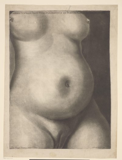Torso of a Pregnant Woman by Richard Purcell