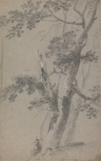 Shepherd Seated Under a Tree by Richard Wilson