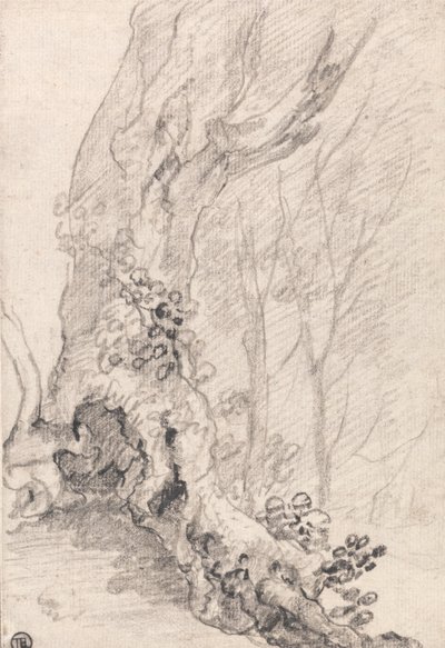 Study of an Old Tree: Trunk and Creeper-Covered Roots by Richard Wilson