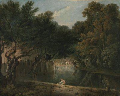 View of the Wilderness in St. James
