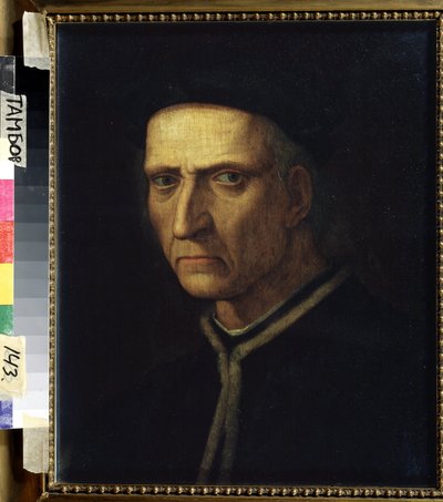 Portrait of a Man by Ridolfo Il  Ghirlandaio