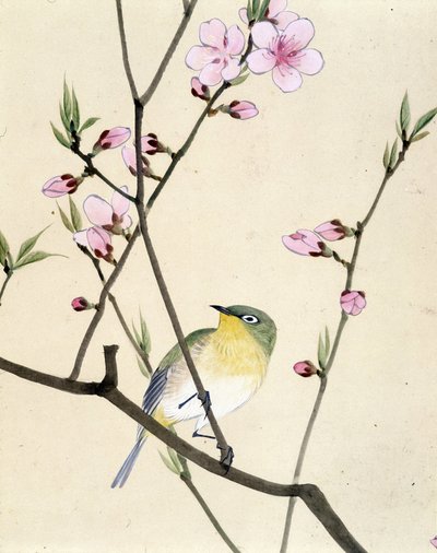 Bird - Japanese drawing by Riou Chim, late 19th century by Riu Chim