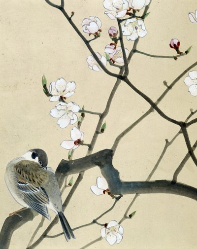 Bird by Riu Chim