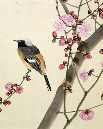 Bird by Riu Chim