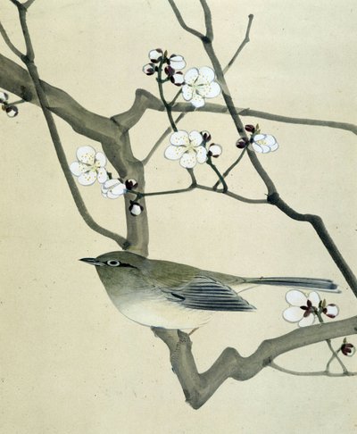 Bird by Riu Chim