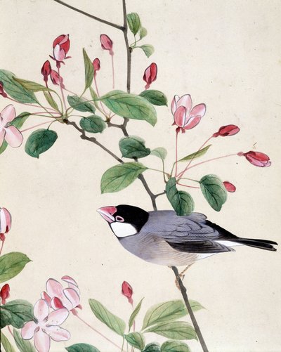 Bird - Japanese drawing by Riou Chim, late 19th century by Riu Chim