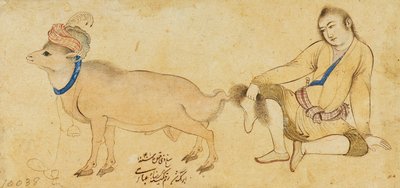 Study of a Young Man and a Ram, 1630-31 or Later by Riza i Abbasi