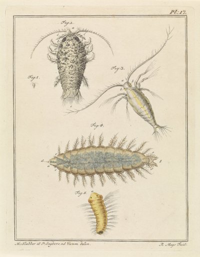 Agate Isopod, Copepod, and Bristle Worm by Robbert Muys