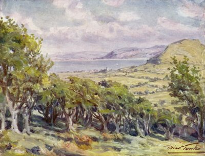 Near Colwyn Bay by Robert (after) Fowler
