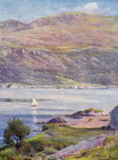 Sunny Afternoon, Cardigan Bay by Robert (after) Fowler
