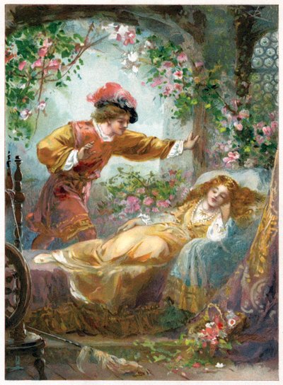 The Prince finds the Sleeping Beauty, illustration from 