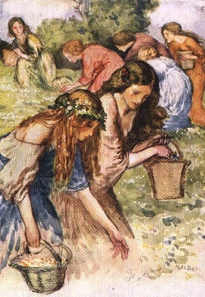There is a Meadow by the River