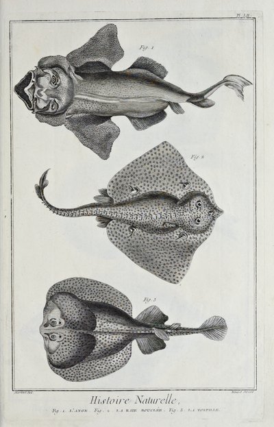 Illustration from 