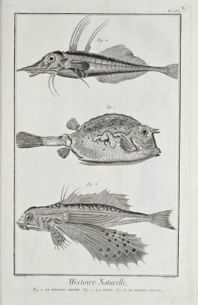 Illustration from 